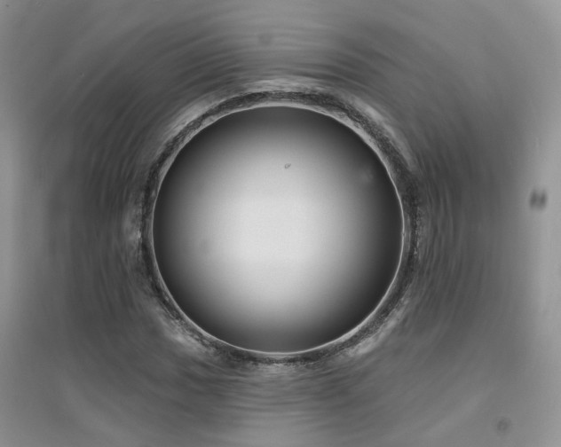 X0000094961017200711291436