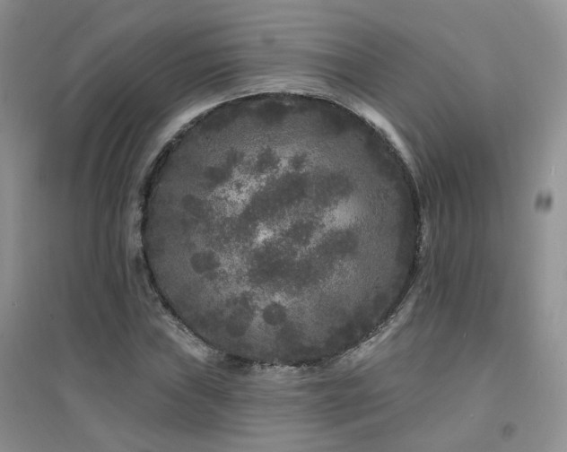 X0000094961019200711291436