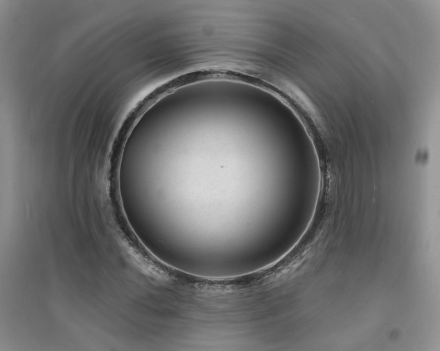 X0000094961020200711291436