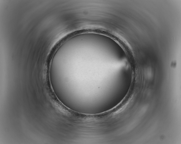 X0000094961021200711291436