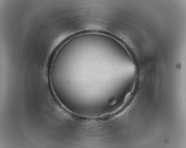 X0000094961022200711291436