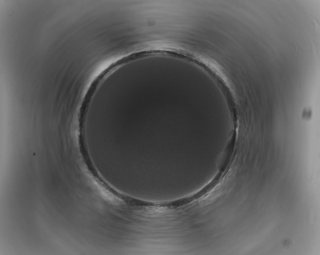 X0000094961024200711291436