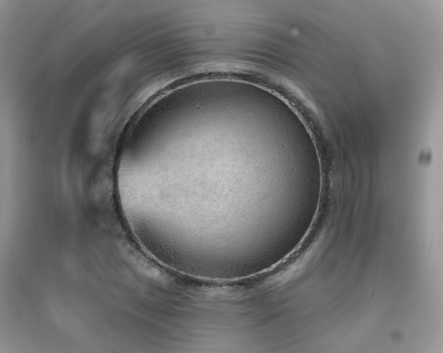 X0000094961025200711291436