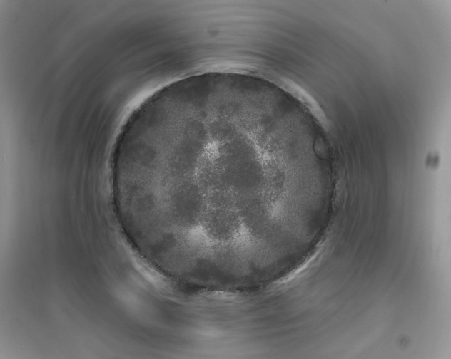 X0000094961027200711291436