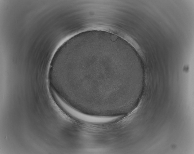 X0000094961028200711291436
