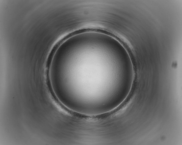 X0000094961029200711291436