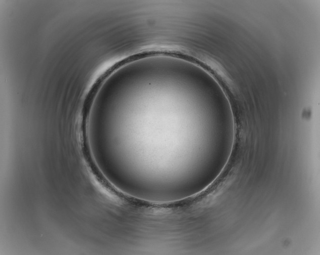 X0000094961030200711291436