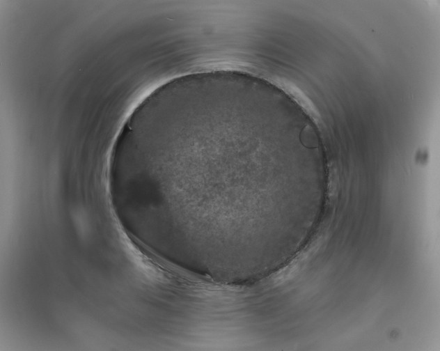 X0000094961031200711291436