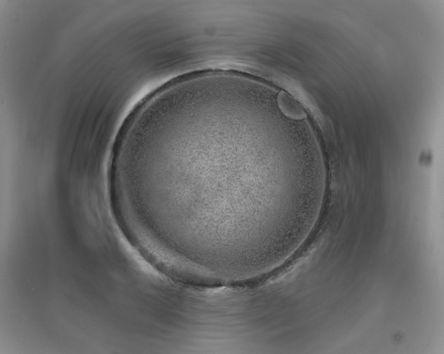 X0000094961032200711291436