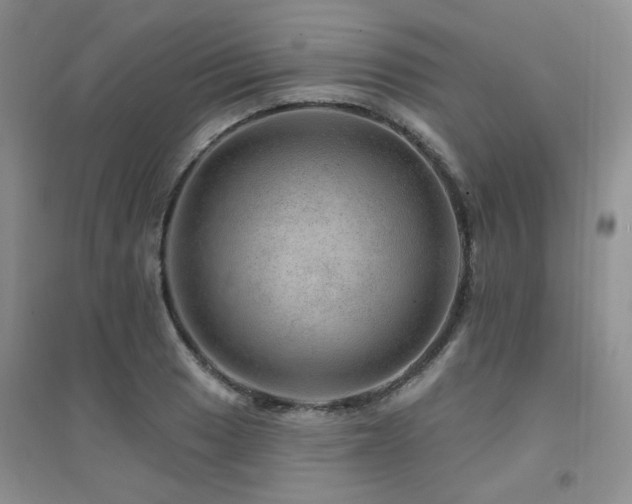 X0000094961033200711291436