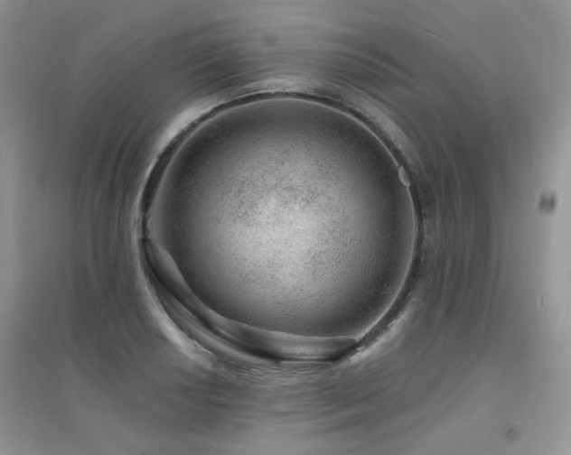 X0000094961034200711291436