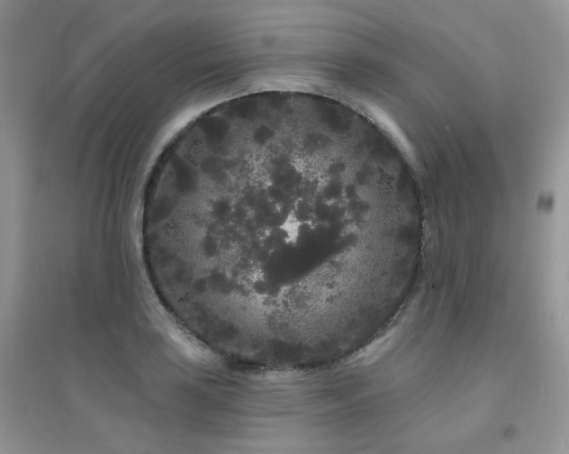 X0000094961035200711291436