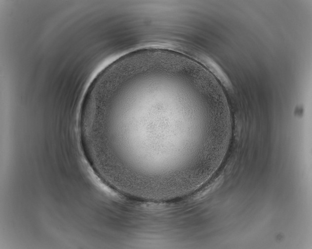 X0000094961036200711291436