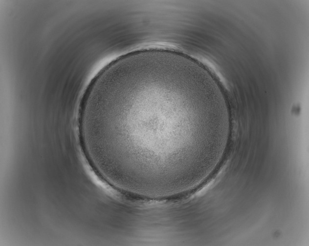 X0000094961038200711291436