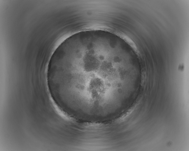 X0000094961039200711291436