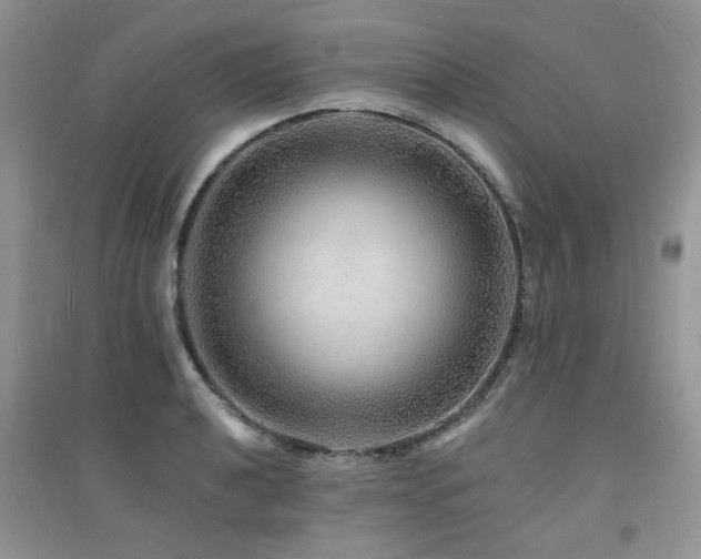 X0000094961040200711291436