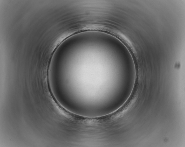 X0000094961041200711291436