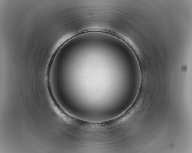 X0000094961042200711291436