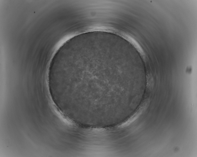 X0000094961043200711291436