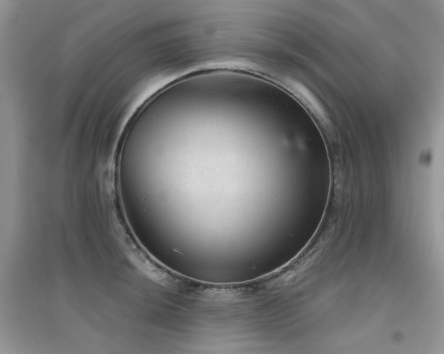 X0000094961044200711291436