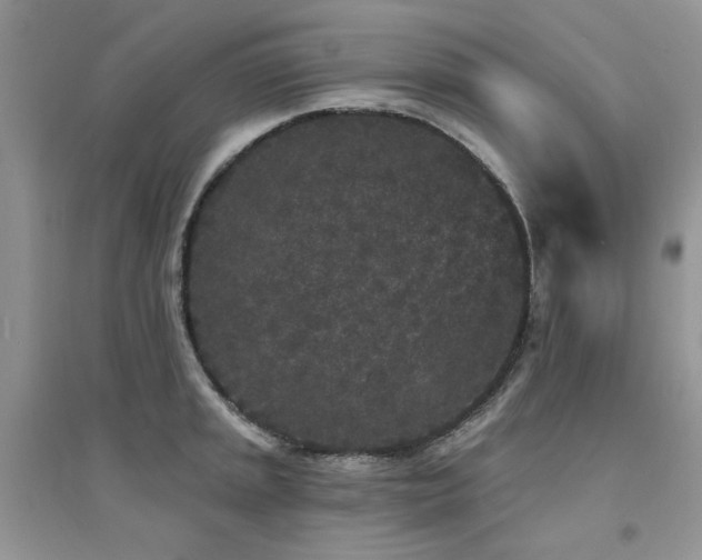 X0000094961045200711291436