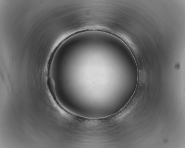 X0000094961046200711291436