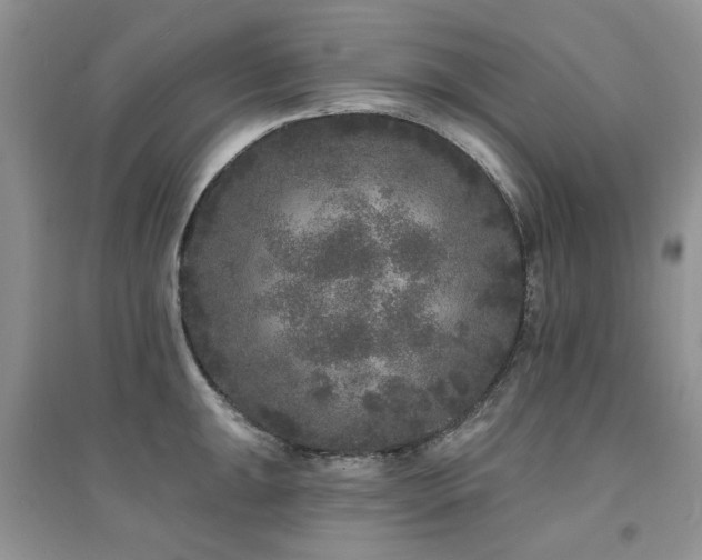 X0000094961047200711291436
