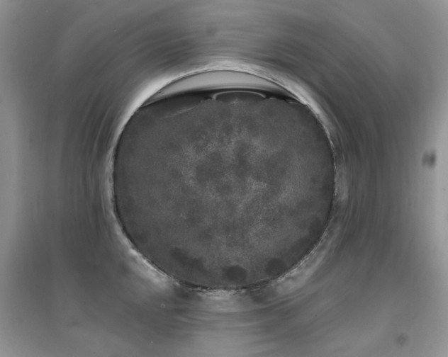X0000094961048200711291436