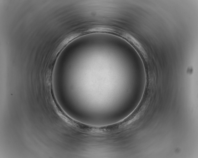 X0000094961049200711291436