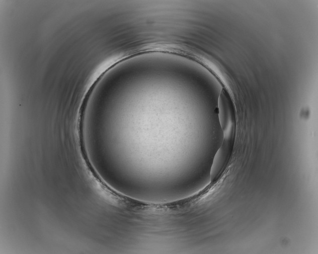 X0000094961050200711291436