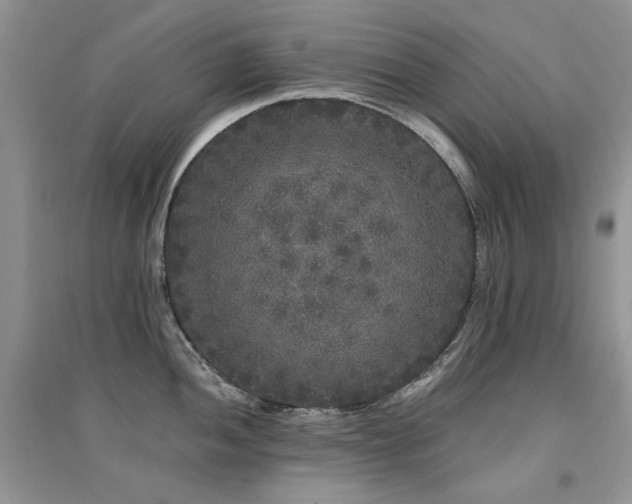 X0000094961052200711291436