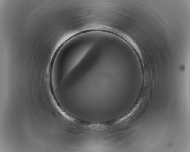 X0000094961053200711291436