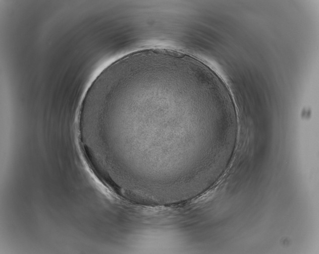 X0000094961056200711291436