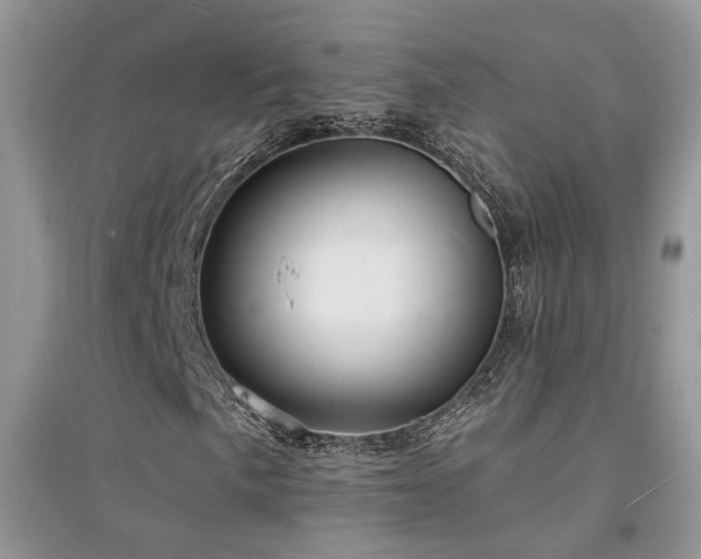 X0000094961057200711291436