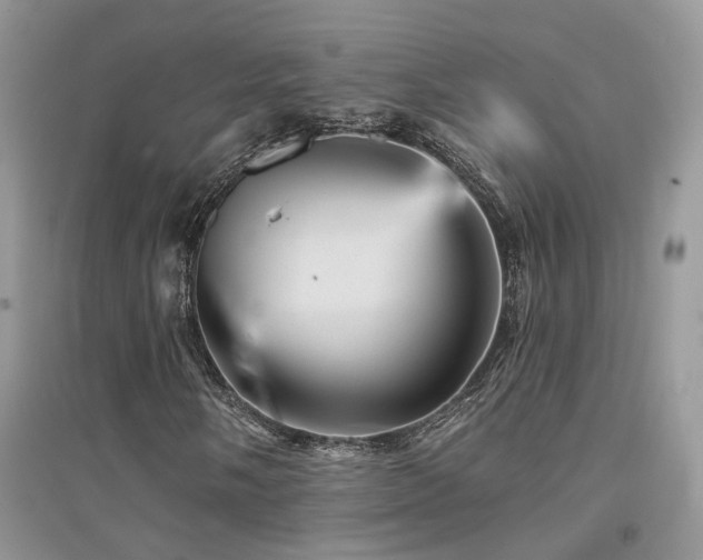 X0000094961058200711291436