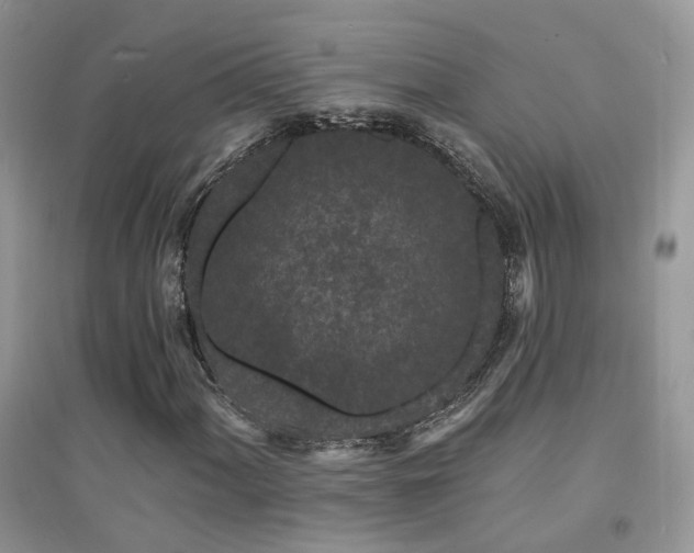 X0000094961060200711291435
