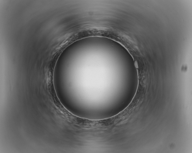 X0000094961061200711291435