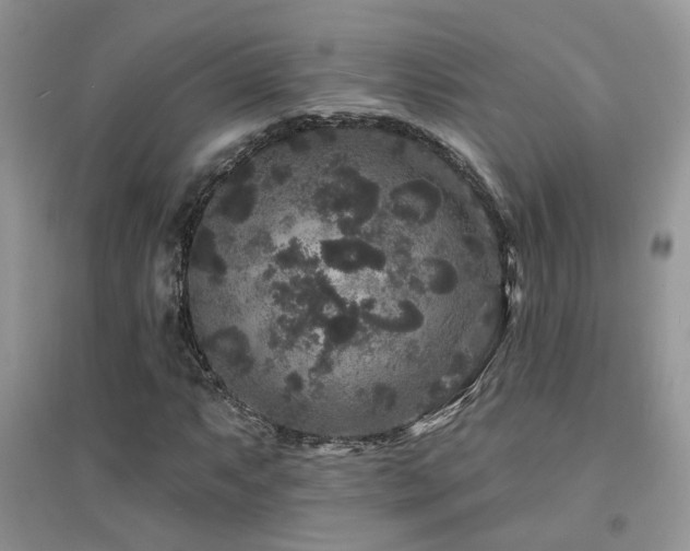 X0000094961063200711291435