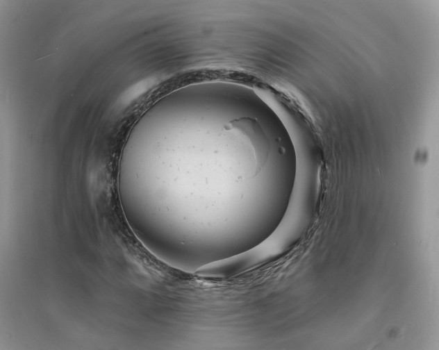 X0000094961064200711291435