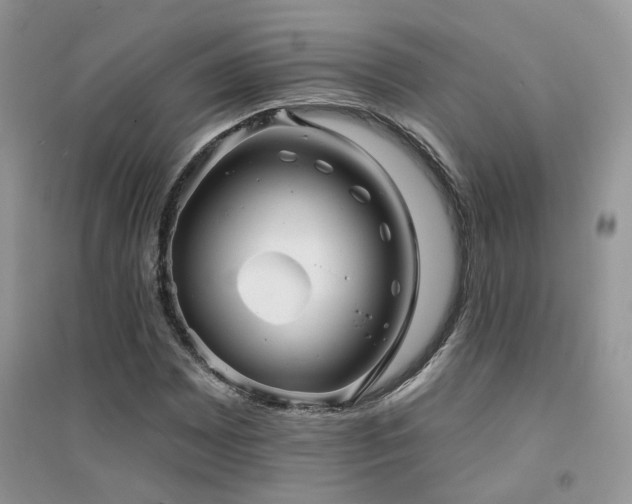 X0000094961065200711291435