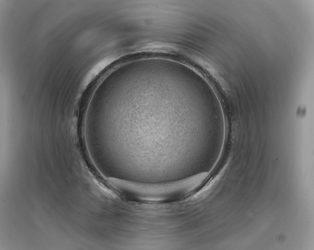 X0000094961066200711291435