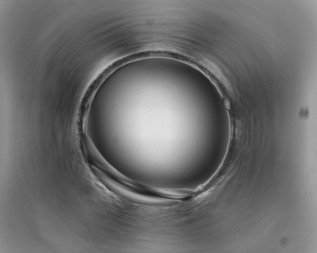 X0000094961068200711291435