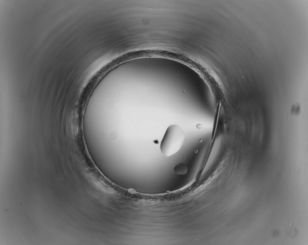 X0000094961069200711291435