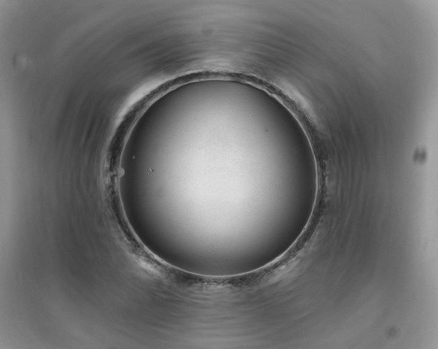 X0000094961070200711291435