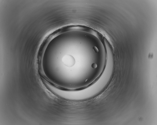 X0000094961072200711291435