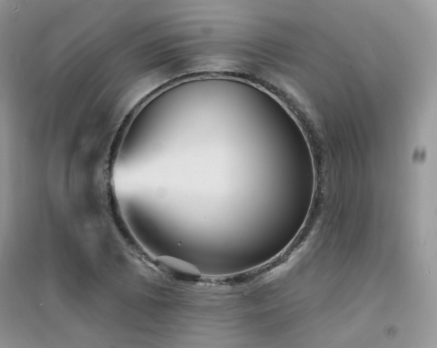 X0000094961073200711291435