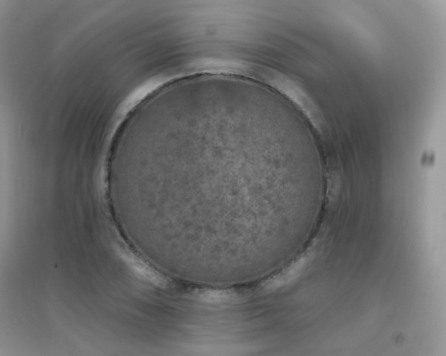X0000094961074200711291435