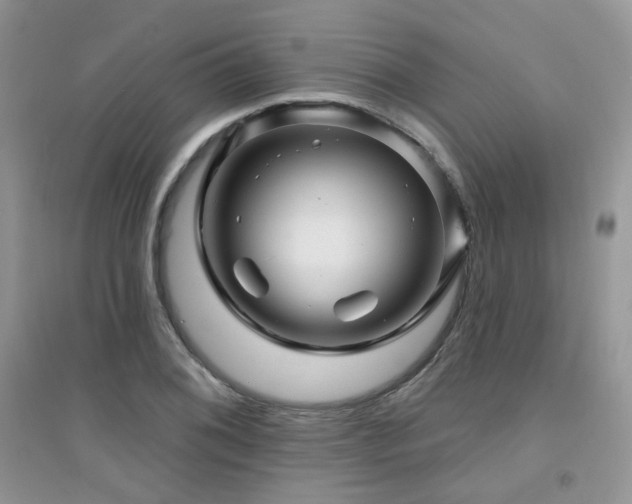 X0000094961076200711291435