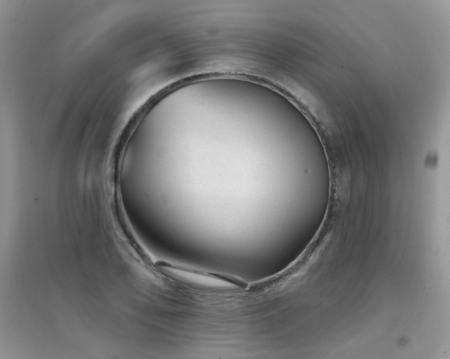 X0000094961078200711291435
