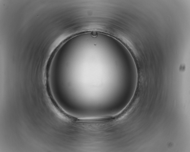 X0000094961082200711291435